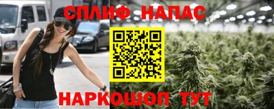 гашик Аша